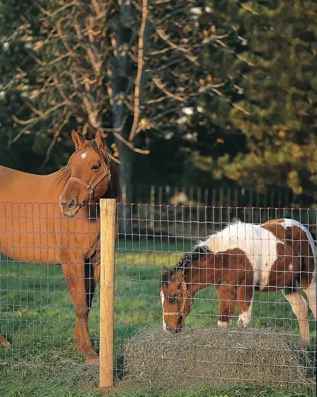 Steel & Wire Horse Fence, 72-In. X 100-Ft.