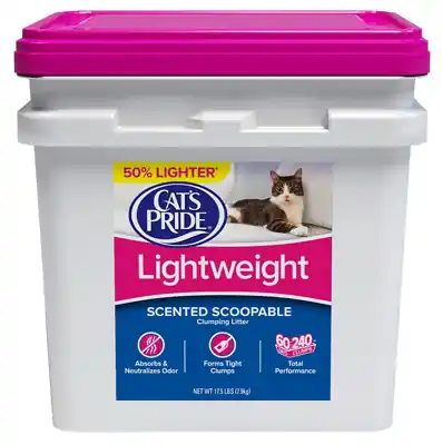 Scoopable Cat Litter, 22 Pounds, Odor Control, Clumping Formula