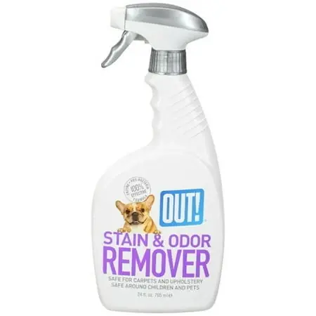 Out! Stain & Odor Remover, 24 Ounce Bottle For Pet Messes