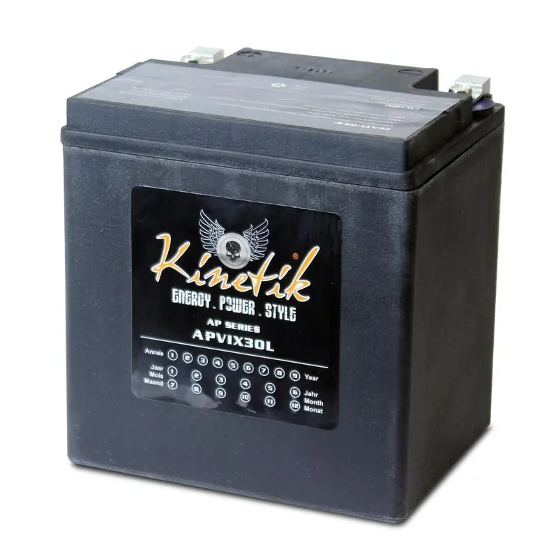 Sealed Agm V-twin Heavy Duty 12-volt 30 Ah Capacity Battery For Power Sports