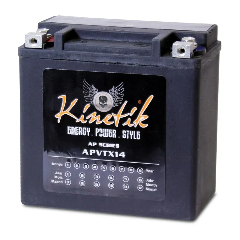 Sealed Agm V-twin Heavy Duty 12-volt 12 Ah Capacity Battery Ubvt-8