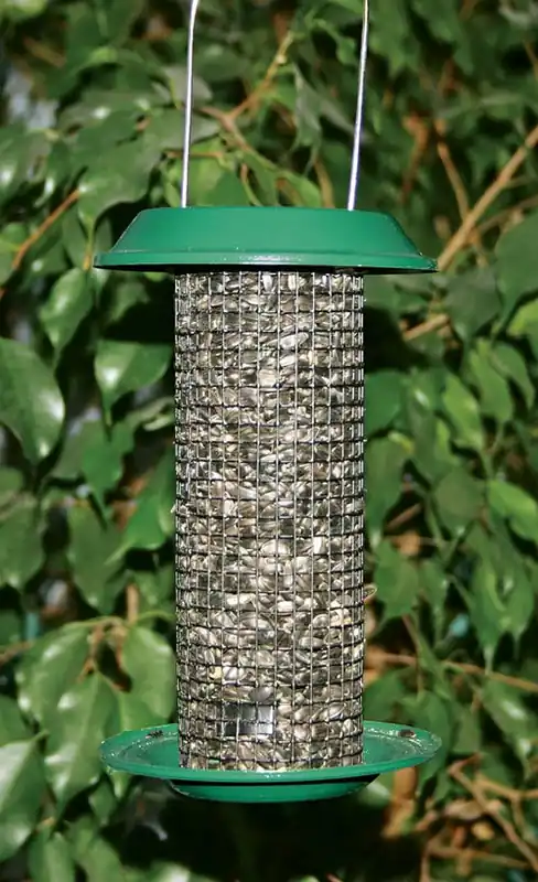 Mini Magnum Black Oil Sunflower Bird Feeder, 1 Pint Capacity