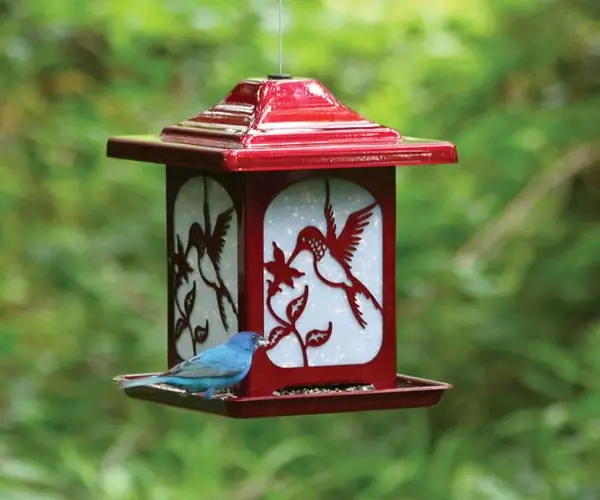 Hummingbird Frosted Glass Bird Feeder Model Hs4622 - Jolly Pop Red