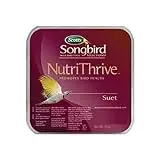 Scott‘s Song Bird 2011810 Nutrithrive Suet Bird Feed, 11-Ounce