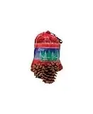 Cinnamon Scent Pinecone Bag