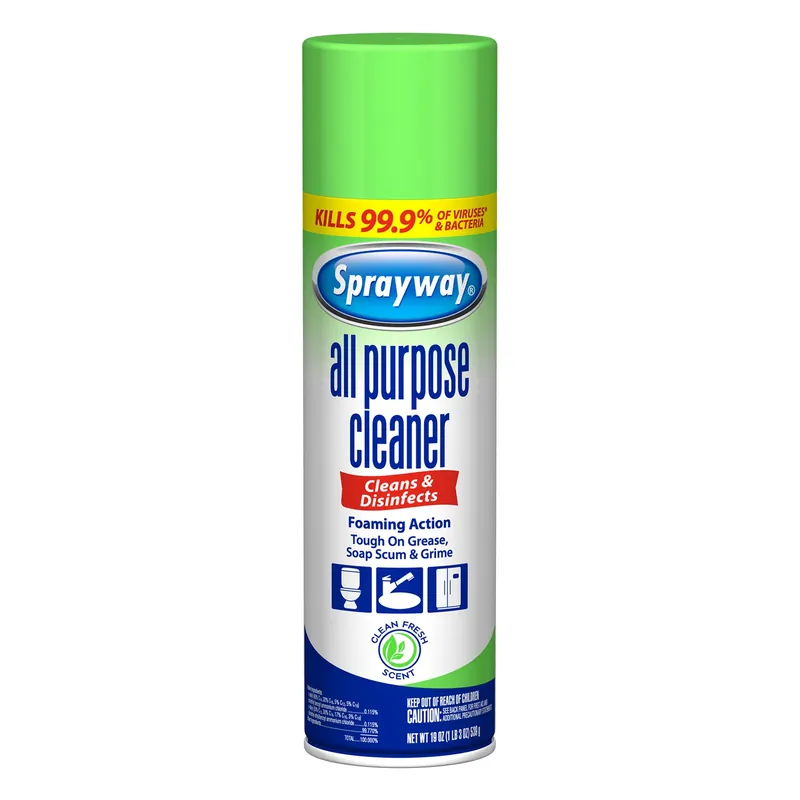 All-Purpose Cleaner, Aerosol, 19 Oz.