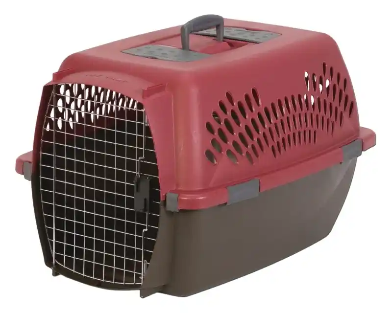 Pet Taxi, Large
