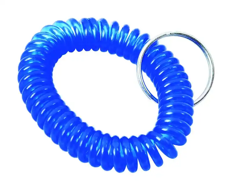 Home Plus Vinyl Blue/Silver Coiled Key Ring