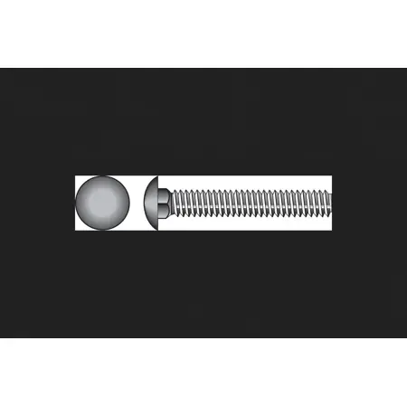 HILLMAN 1/2 In. X 6 In. L Zinc-Plated Stainless Steel Carriage Bolt 10 Pk