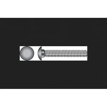 HILLMAN 1/2 In. X 2 In. L Stainless Steel Carriage Bolt 25 Pk