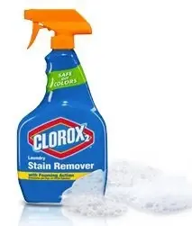 Stain Remover Spray 22 Fl. Oz.