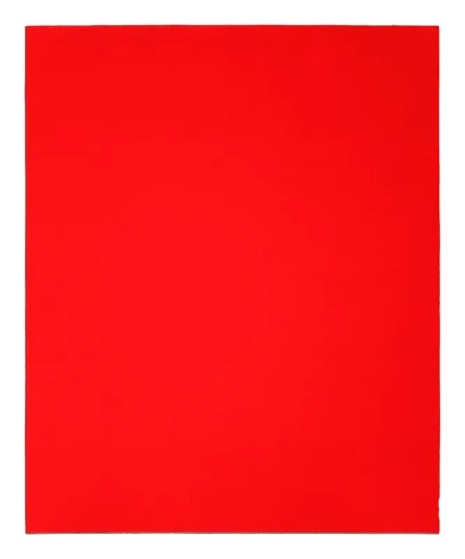 Diablo 9 In. L X 11 In. W 120 Grit Aluminum Oxide Sanding Sheet 20 Pk