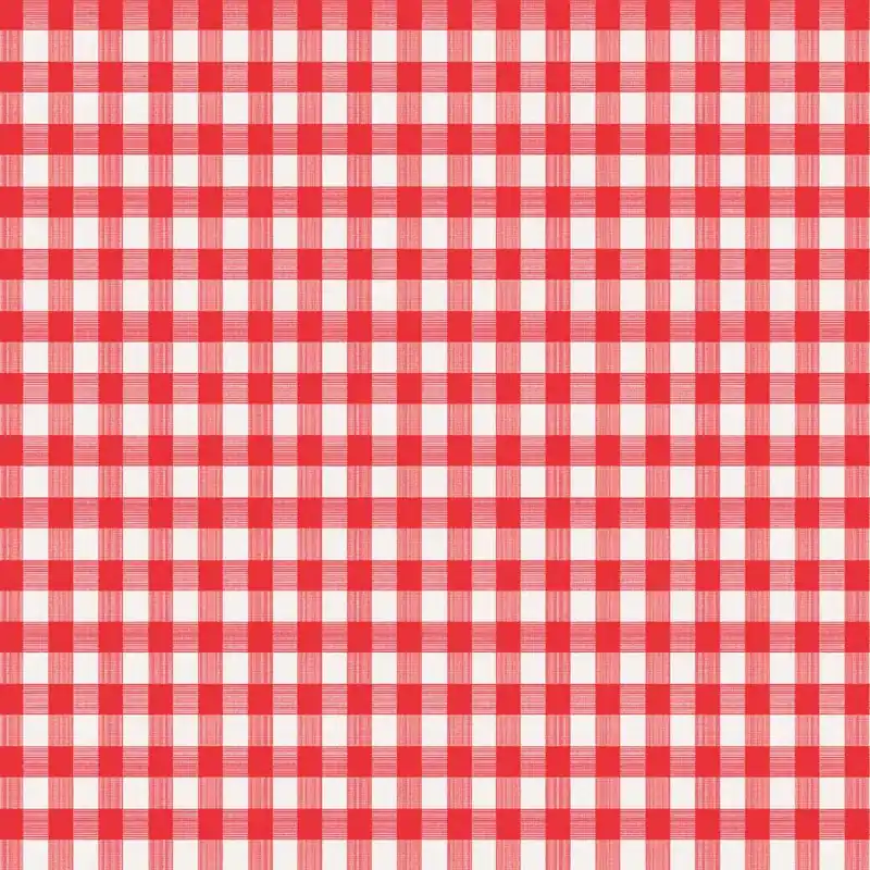 Red/white Checkered Vinyl Disposable Tablecloth 70 In. L X 52 In. W