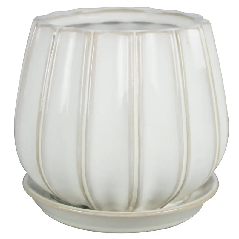 Trendspot Contour 5.5 In. H X 5.9 In. W X 5.9 In. D X 6 In. D Ceramic Planter White