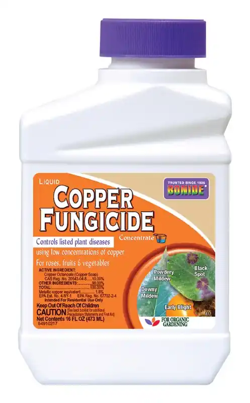 Captain Jack‘s Copper Fungicide Organic Gardening Mildew, Blight & Disease Control, 16 Oz. Concentrate