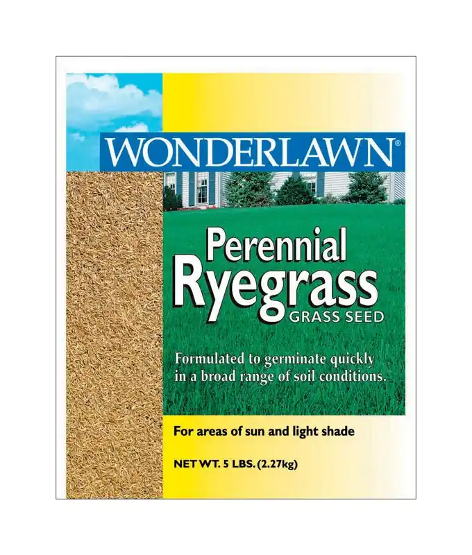5 Lb. Perennial Ryegrass Grass Seed For 700 Sq. Ft. Coverage