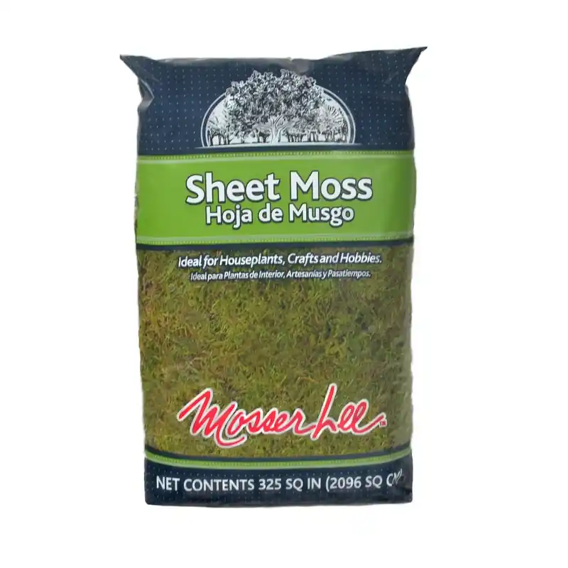 Organic Green Sheet Moss 325 Square Inches For House Plants And Crafts