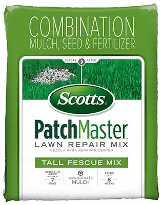 Patchmaster Tall Fescue Seed Mix, 5 Pounds For Lush Lawns