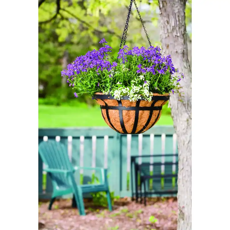 Living Accents Steel Hanging Basket Black