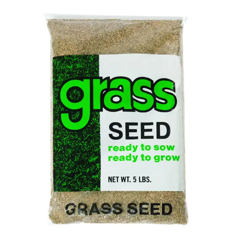 Annual Ryegrass Grass Seed For Partial Shade/sun 5 Lb - Quick Germination