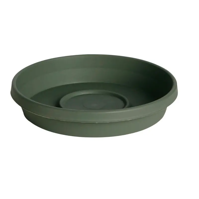 Planter Saucer, Plastic, Living Green, 8 In.