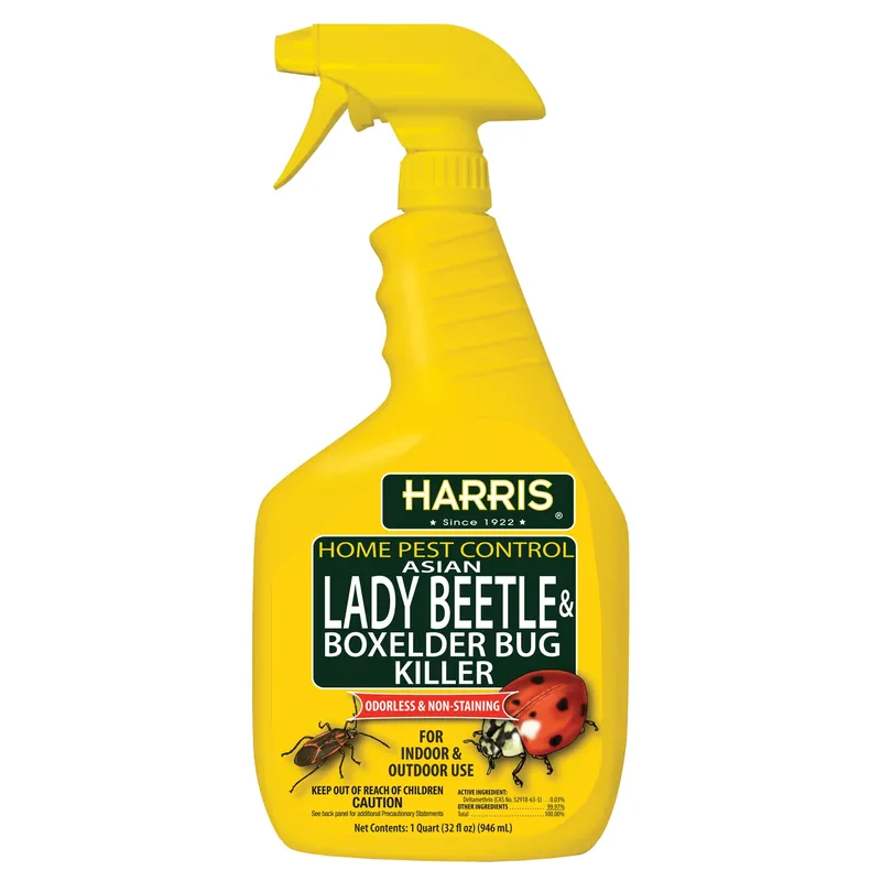 Asian Lady Beetle & Box Elder Bug Killer, 32-oz.