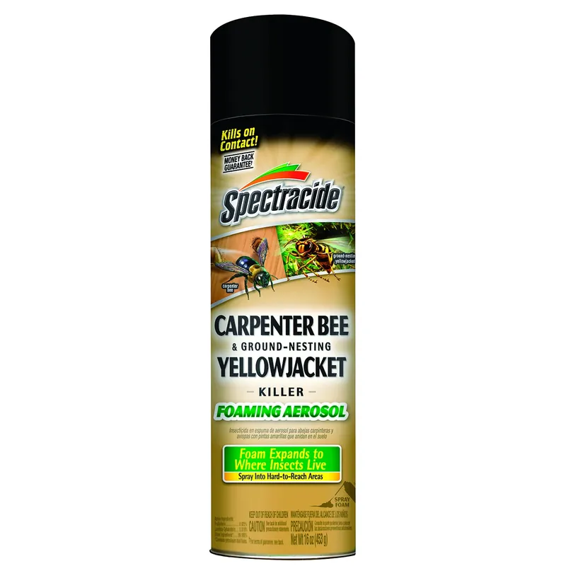 Carpenter Bee And Yellowjacket Killer, 16-oz. Foaming Aerosol
