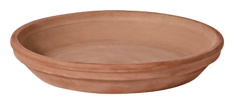 Deroma 1.6 In. H X 12.2 In. D Clay Rich Plant Saucer Chocolate