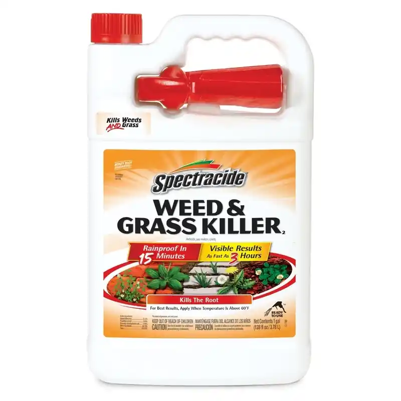 Weed & Grass Killer Ready-to-Use, 1-Gallon