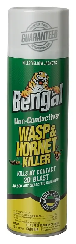 Non-Conductive Wasp & Hornet Killer, 15-oz. Aerosol