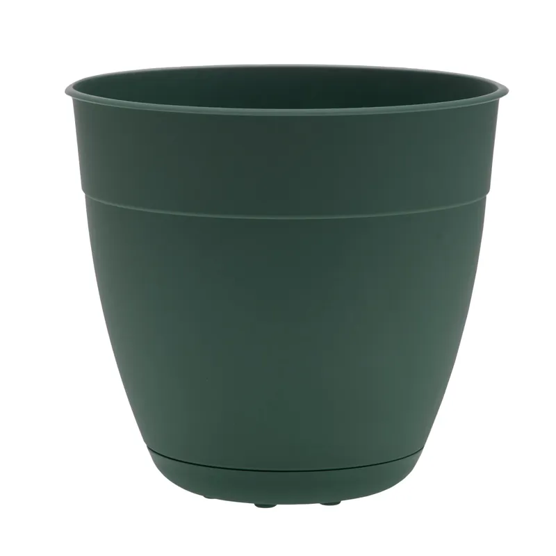 Ocean Series Dayton 5.75 In. H X 6 In. D Turtle Green Planter
