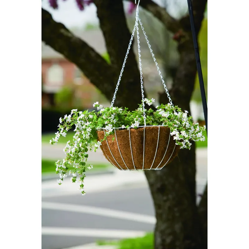 14-Inch White Growers Hanging Basket