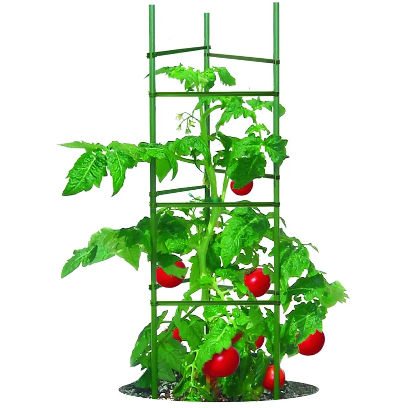 Ultimate Tomato Cage