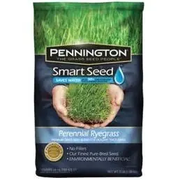 Seed 100086853 3 Lbs. Smart Seed Perennial Rye Blend Grass Seed Mixture
