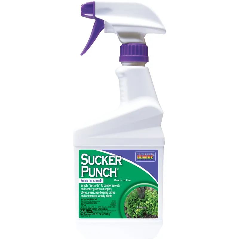 Sucker Punch Tree Roots Killer Rtu Liquid 16 Oz - Effective Broadleaf Weed Control