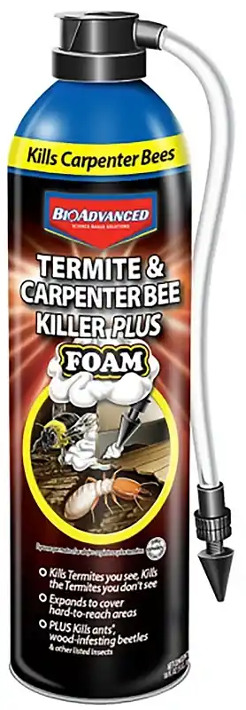 Termite & Carpenter Bee Killer Plus Foam, 18 Oz.