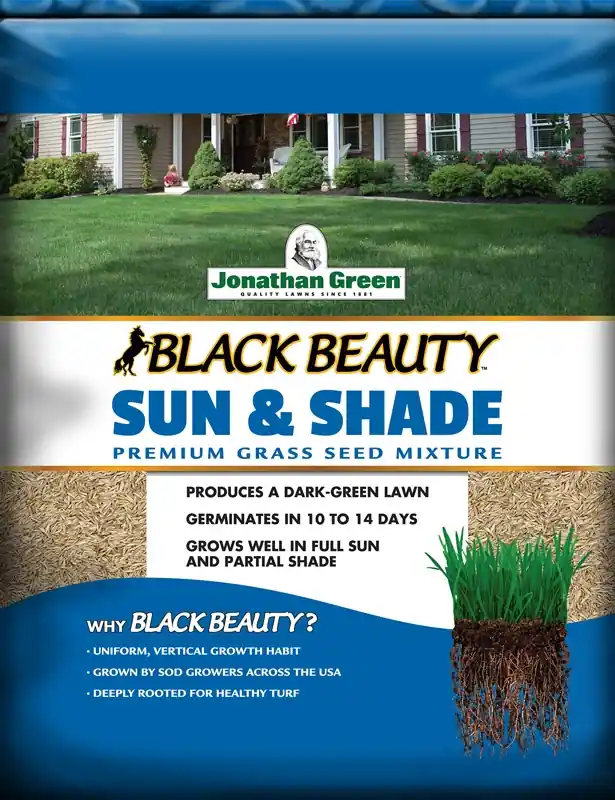 Black Beauty 1 Lb. Sun & Shade Grass Seed - 375 Sq. Ft. Coverage