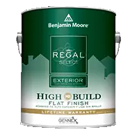 Exterior High Build Flat Paint, Model N40001-005, Durable Finish