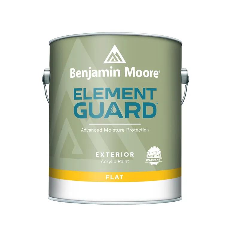 Element Guard Exterior Paint, Flat Finish, 1 Gallon, Model 07631x-001