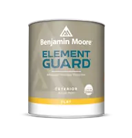 Exterior Flat Paint - Durable Weather-resistant Finish, 1 Gallon
