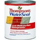 Thompson‘S Water Seal