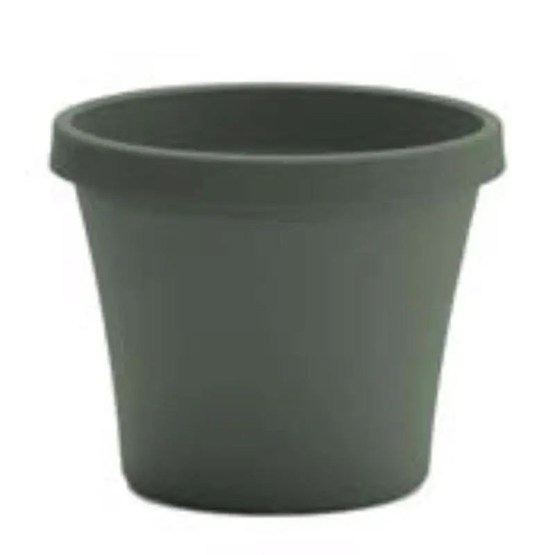 Bloem Terra 3.75 In H X 4.25 In W X 3 In D Plastic Planter Basil
