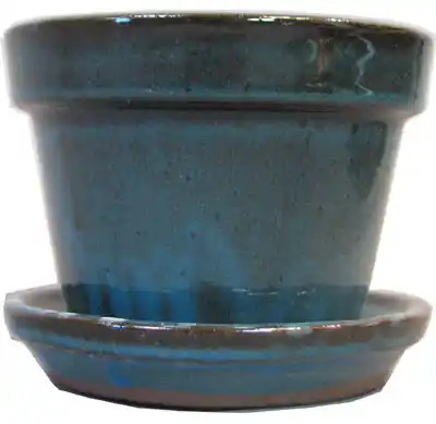 Border Concepts 5.5 In. H X 7.25 In. D Ceramic Planter Tropical Blue