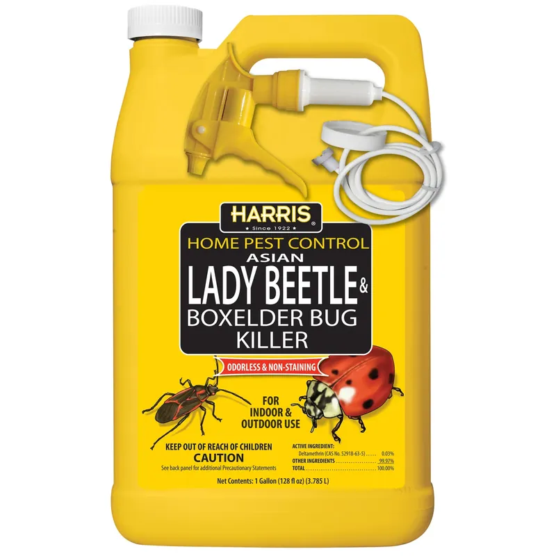 Asian Lady Beetle & Box Elder Bug Killer, 1-Gal.