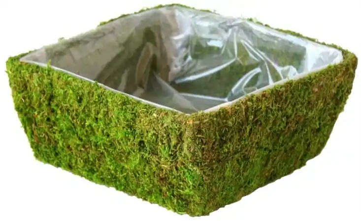 Super Moss 55170 Square Santee Moss Basket - Fresh Green - Fits 2 Blocks