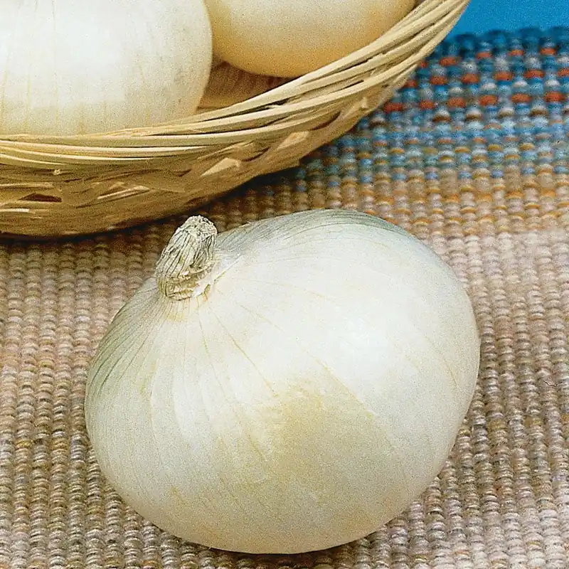 801 Onions - Texas Sweet Onions By Bonnie Plants, Model 4110