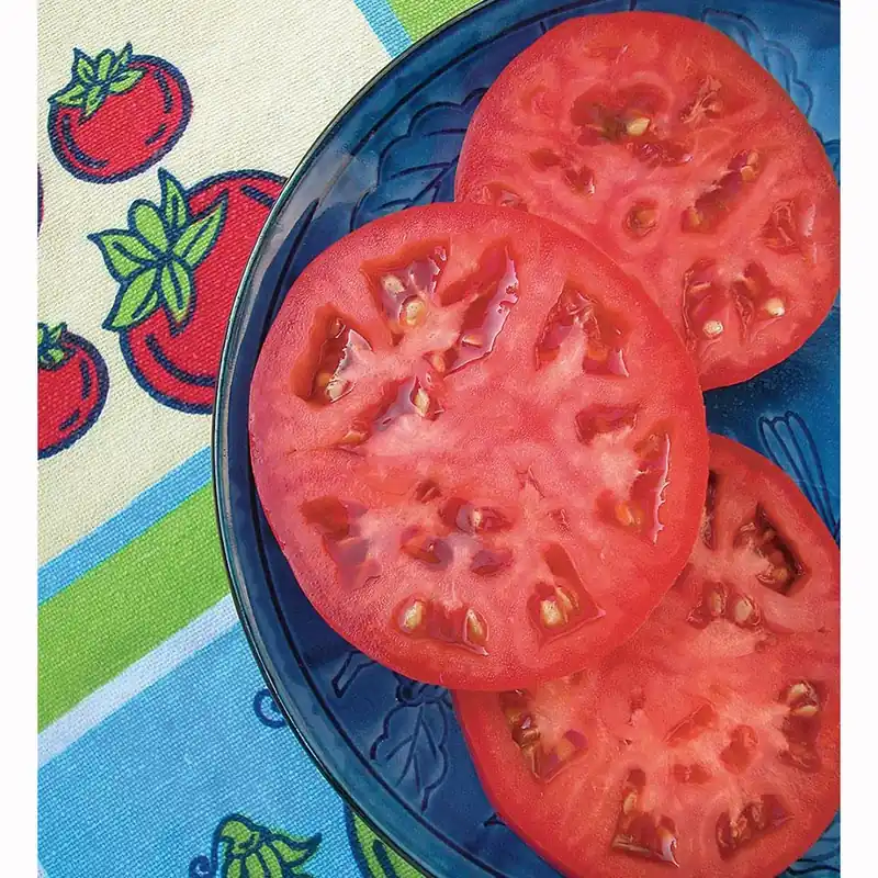 2.32 Quart Tomato Beefsteak Red Heirloom Plant - Bonnie Plants Model 0216