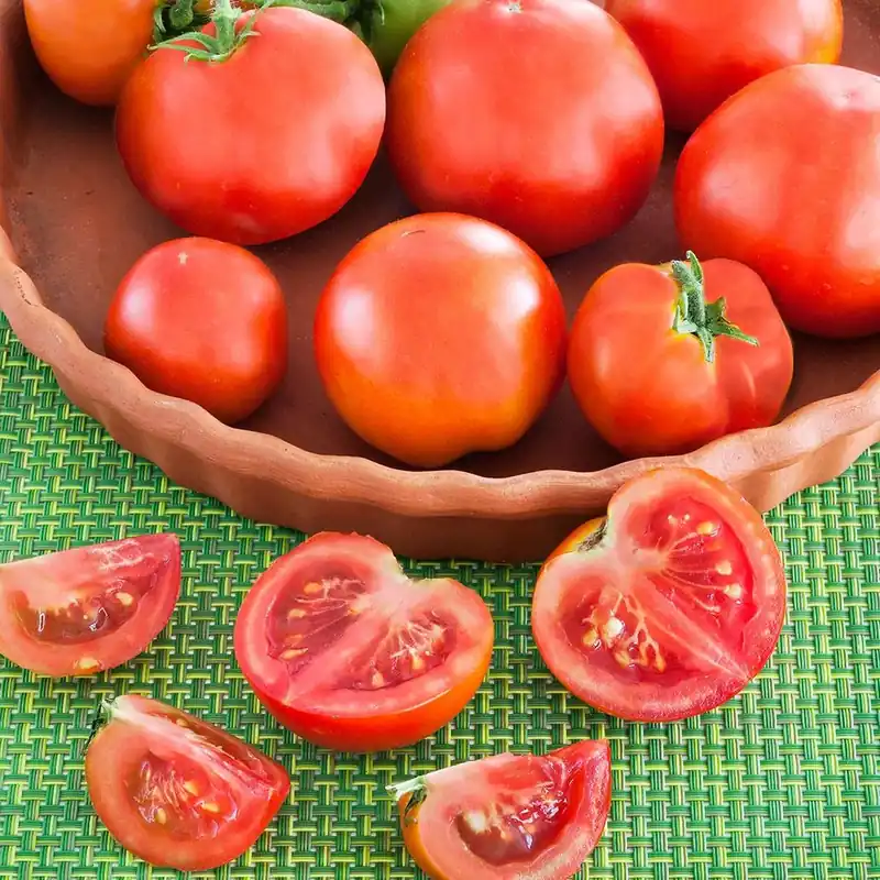 2.32 Quart Tomato-patio Plant By Bonnie Plants - Perfect For Small Spaces
