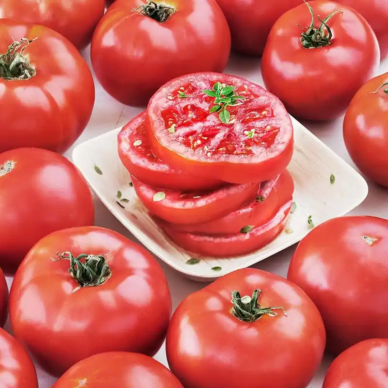 2.32 Quart Tomato-solar Fire Plant By Bonnie Plants