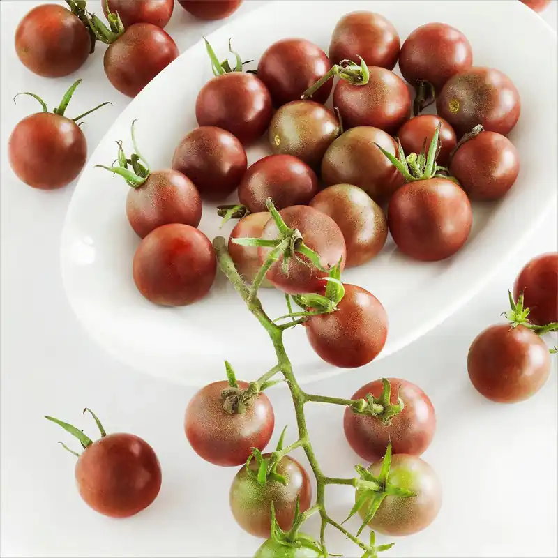 19.3 OZ Tomato-Black Cherry-